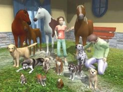 Bon marché 😍 3in1 PC Tierarztpraxis Land + HundeKat 🤩 -Offres Party-Games Store 102578927 4 92